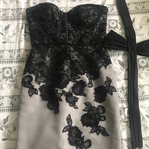 Zac Posen Truly Lace Dress